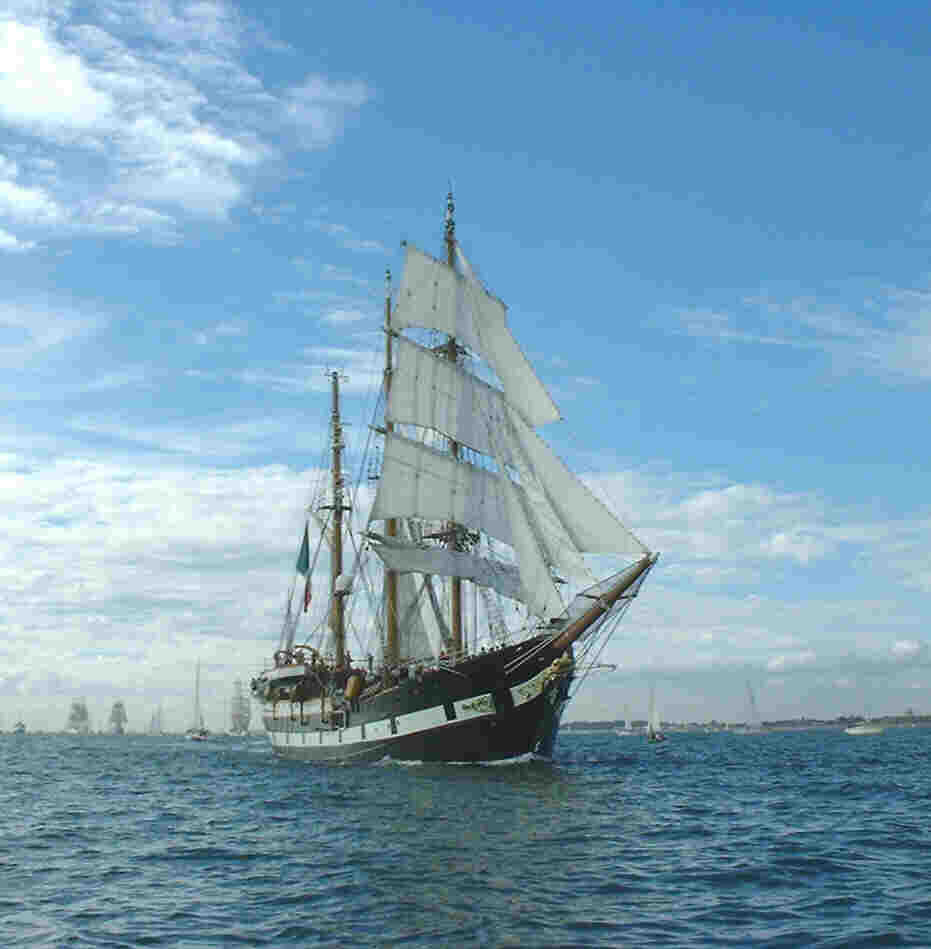 Tall Ships Parade of Sail, Southampton 2002: Palinuro